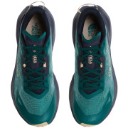 Buty do biegania dla mężczyzn The North Face M Altamesa 300 V2