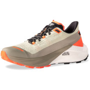 Buty do biegania dla mężczyzn Dynafit Ultra 100 V3 beżowy Rock Khaki/Overcast