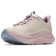 Damskie buty do biegania Hoka Clifton 11 GTX GLM