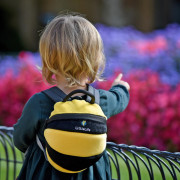 Plecak dziecięcy LittleLife Toddler Bee