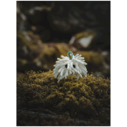 Worek na magnezję Midnight Lightning Chalktopus