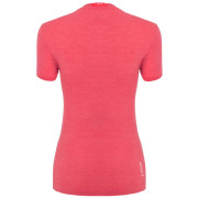 Koszulka damska Salewa Zebru Fresh Amr W T-Shirt.