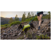 Smycz z amortyzatorem Ruffwear Trail Runner™ Leash