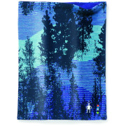 Chusta Smartwool Merino 250 Reversible Pattern czarny/niebieski DeepNavyForestScape
