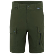 Spodenki męskie Regatta Arlery Shorts ciemnozielony Dark Khaki