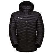 Kurtka męska Mammut Albula IN Hooded Jacket Men