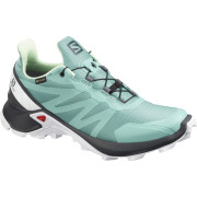 Buty damskie Salomon Supercross Gtx W jasnoniebieski Meadowbrook