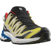 Męskie buty turystyczne Salomon Xa Pro 3D V9 Gore-Tex