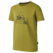 T-shirt dziecięcy Dare 2b Amuse III Tee Goldn Cypress