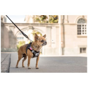 Smycz dla psa Curli Stretch Comfort Leash