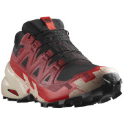 Buty do biegania dla mężczyzn Salomon Speedcross 6 Gore-Tex czarny/czerwony Black / Red Dalhia / Poppy Red