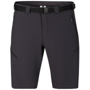 Spodenki męskie Direct Alpine Cruise Shorts 3.0 czarny/szary anthracite