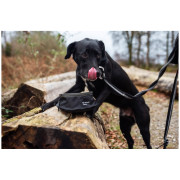 Miska dla psa Mountain Paws Collapsible Dog Food Bowl