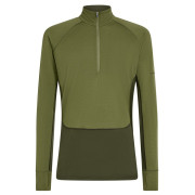 Męska koszulka Icebreaker Men Mer 200 ZoneKnit LS Half Zip ciemnozielony Dkloden/Spha/Cb