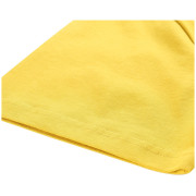 Koszulka męska Alpine Pro Termes 3