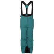 Dziecięce spodnie narciarskie Dare 2b Pow III Insulated Pant Mediterranea zielony Mediterranea