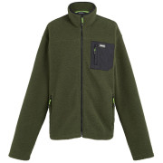 Męska bluza Regatta Frankie Borg Fleece khaki/czarny Dark Khaki