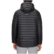 Kurtka męska Mammut Albula IN Hooded Jacket Men 2021