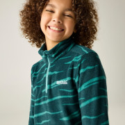 Bluza dziecięca Regatta Hot Shot II MeditZebra