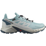 Damskie buty do biegania Salomon Supercross 4 Gore-Tex