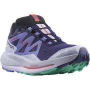 Damskie buty do biegania Salomon Pulsar Trail Gtx W