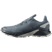 Buty do biegania dla mężczyzn Salomon Alphacross 4 Gore-Tex