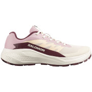 Damskie buty do biegania Salomon Alphaglide