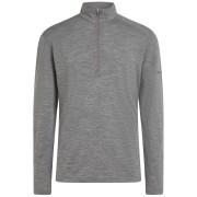 Męska bluza Icebreaker Men Merino 200 Oasis LS Half Zip