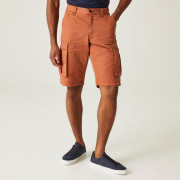 Męskie szorty Regatta Shorebay Short