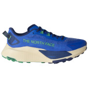 Buty do biegania dla mężczyzn The North Face M Altamesa 500 V2 niebieski/biały TNF Blue/Dimmed Algae
