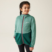 Bluza dziecięca Regatta Prenton III