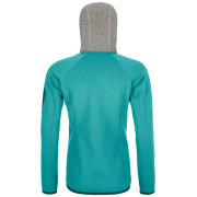 Bluza damska Ortovox W's Fleece Plus Classic Knit Hoody