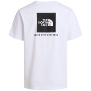 Koszulka męska The North Face M Evolution Box Nse Regular Short Sleeve