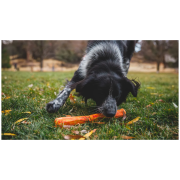 Zabawka dla psa Ruffwear Gnawt-a-Stick™ Toy