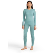 Koszulka damska Icebreaker W's 260 Tech LS Crewe