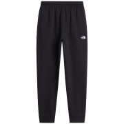Męskie spodnie dresowe The North Face M Evolution Simple Dome Regular Jogger czarny TNF BLACK