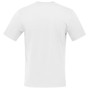 Koszulka męska Norrona 29 cotton Norrøna viking T-shirt