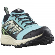 Damskie buty do biegania Salomon Wander Gore-Tex niebieski/biały Blue Radiance / Vanilla Ice / Green Ash