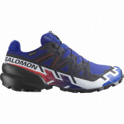 Buty męskie Salomon Speedcross 6 Gore-Tex Equipe