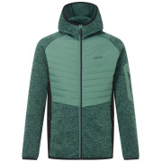 Męska kurtka hybrydowa Regatta Newhill Hybrid zielony/czarny DkFrstGr/Blk