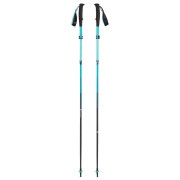 Kije trekkingowe dla kobiet Black Diamond W Distance Carbon FLZ Poles szary Dark Patina