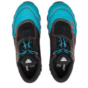 Damskie buty do biegania Dynafit Feline SL W Gtx