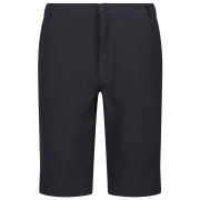 Męskie szorty Regatta Highton ShortLong M szary Seal Grey