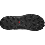 Buty damskie Salomon Wildcross Gtx