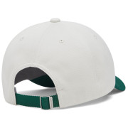 Dziecięca bejsbolówka Under Armour G Blitzing Low Adj Summit White