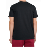 Koszulka męska 4F Tshirt M3341