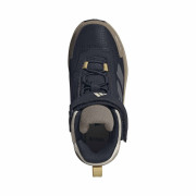 Buty dziecięce Adidas Terrex Anylander Mid Climaproof Blue
