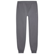 Męskie spodnie dresowe 4F Trousers M0943 szary Grey