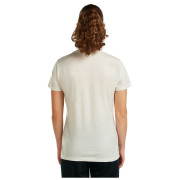 Koszulka damska Icebreaker Women Merino 150 Tech Lite SS Tee Bird Transit