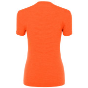 Damska koszulka Salewa Pedroc Amr W Seamless T-Shirt
